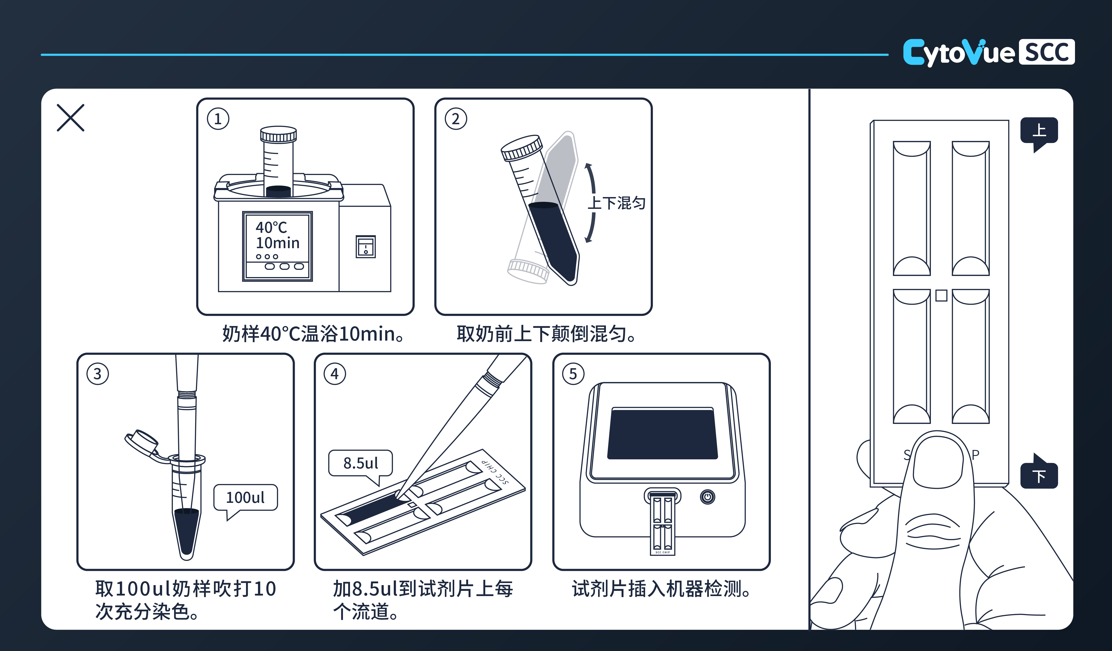 CytoVue SCC 体细胞检测操作流程